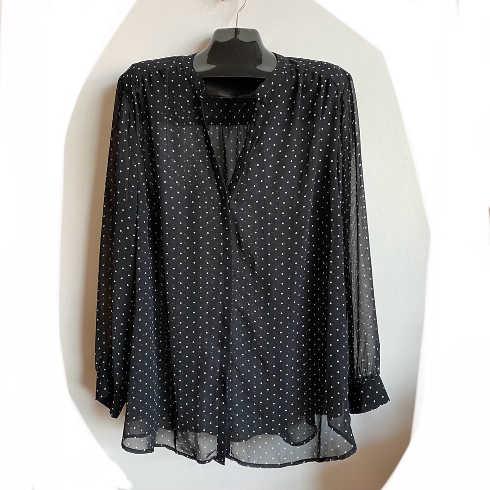 Black Polka Dot Sheer Women's Top, Plus